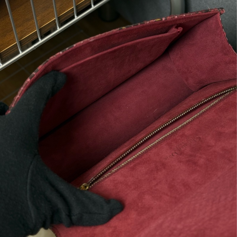 （購入價約四十萬台幣）DIOR 蟒蛇皮🐍 Diorama盾牌包-15