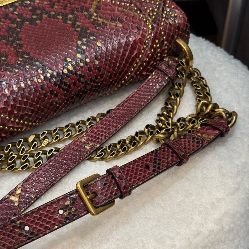 （購入價約四十萬台幣）DIOR 蟒蛇皮🐍 Diorama盾牌包-17