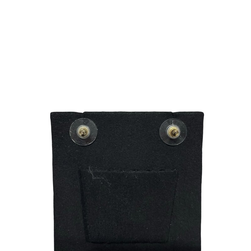 CHANEL EARRINGS [3001158]-2