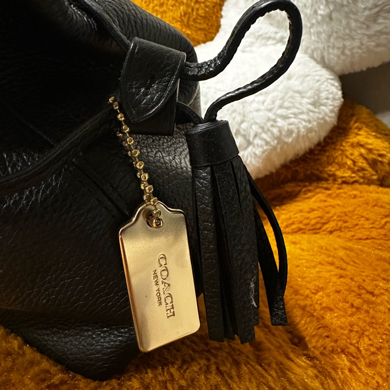 COACH Andy馬車LOGO壓印素面荔枝紋皮革福袋包/小福袋包-3