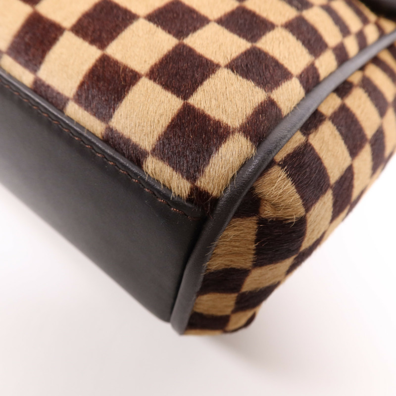 LOUIS VUITTON Damier Sauvage Lionne金扣手挽袋-7