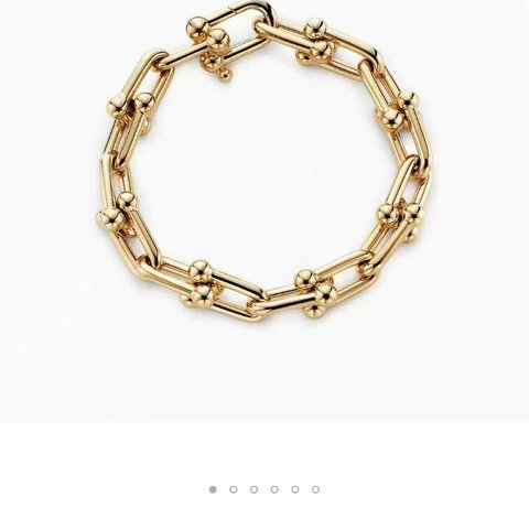 Tiffany&Co. Hard Wear Large Link Bracelet