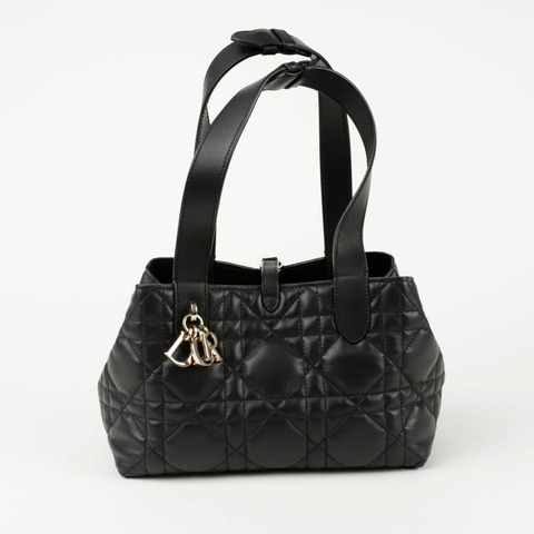 DIOR M2835OSNW Toujours 小垂直手提包