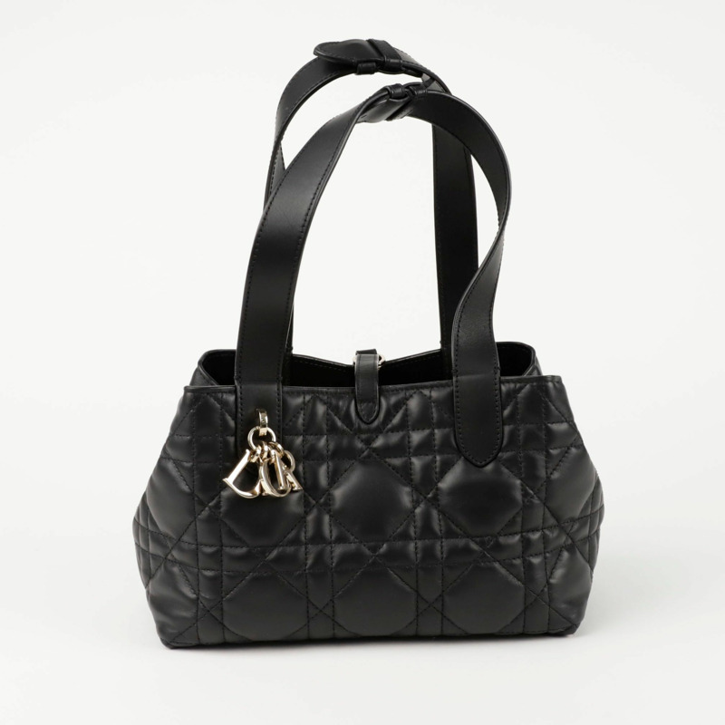 DIOR M2835OSNW Toujours 小垂直手提包-0