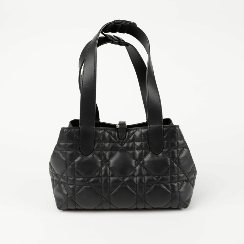 DIOR M2835OSNW Toujours 小垂直手提包-3