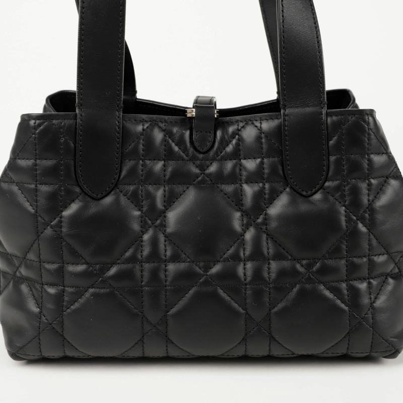 DIOR M2835OSNW Toujours 小垂直手提包-4