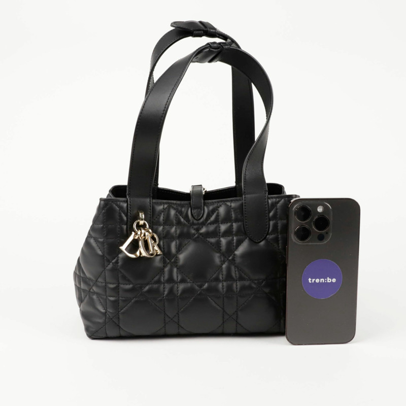 DIOR M2835OSNW Toujours 小垂直手提包-8