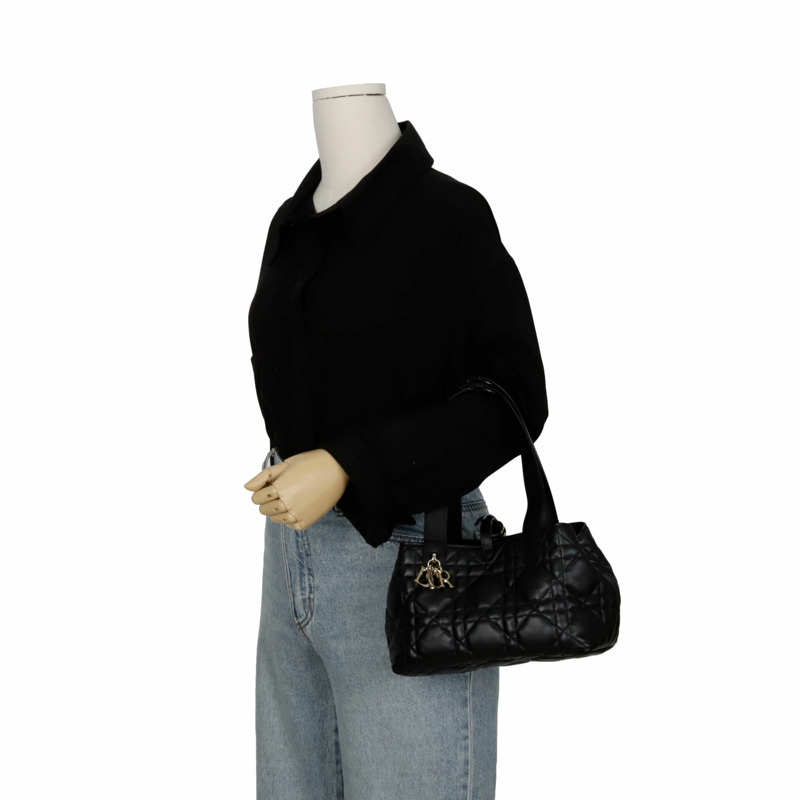 DIOR M2835OSNW Toujours 小垂直手提包-11