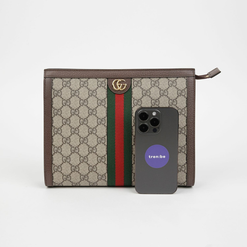 GUCCI Ophidia Pouch 625549-5