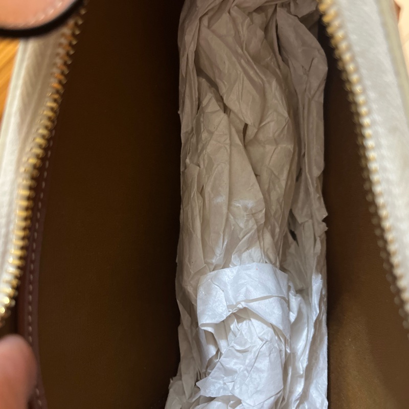 Celine AVA triomphe 帆布小牛皮肩背包（白色）-11