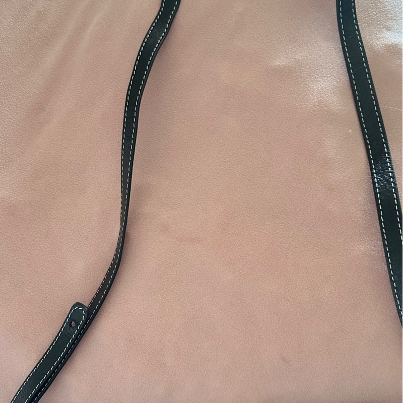 Balenciaga Bazar中號 綠色條紋-5