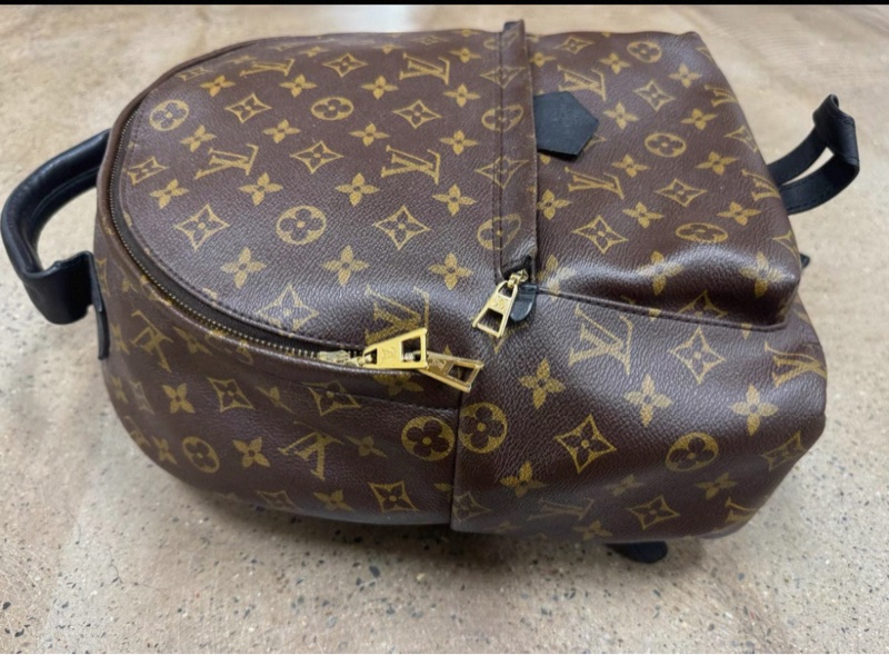 LV 路易威登 Louis Vuitton 老花 雙肩包 背包 Palm Springs 中號-5