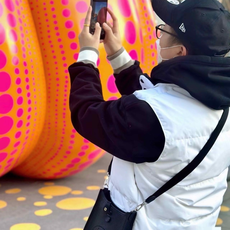 愛馬仕 mini evelyne 黑銀 w刻 絕美-4