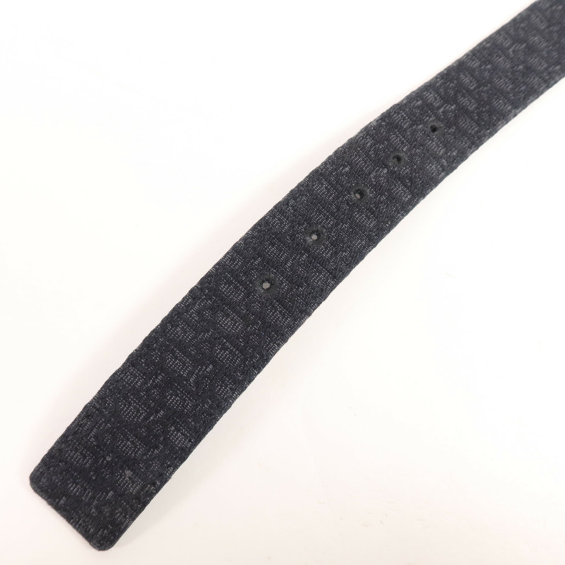 Dior 帆布/皮革Belt銀扣皮帶-7