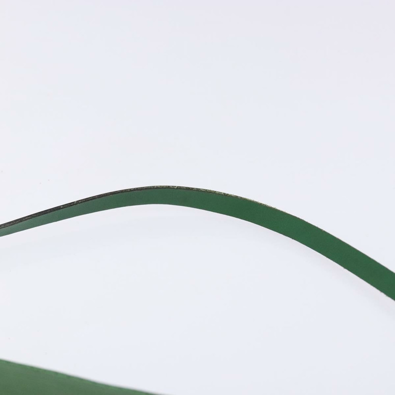 【日本直送】路易威登 Epi Pochette 配件袋復古綠色 M52984 LV 正品 BA4884-7