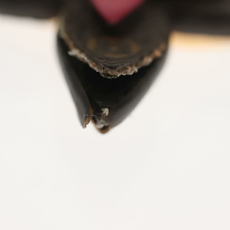 【日本直送】路易威登 Monogram 綻放花朵吊飾 金屬 金色 M63084 LV Auth 142401-3