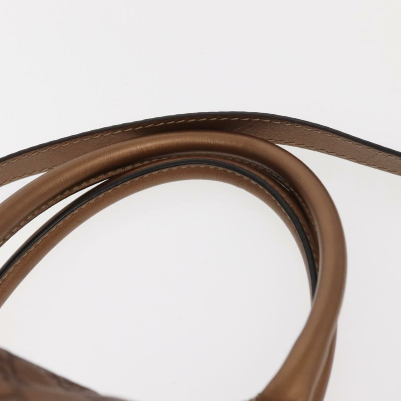 【日本直送】GUCCI GG帆布Guccissima包 皮革 2way 金色金屬棕色 247902 正品 121383-13