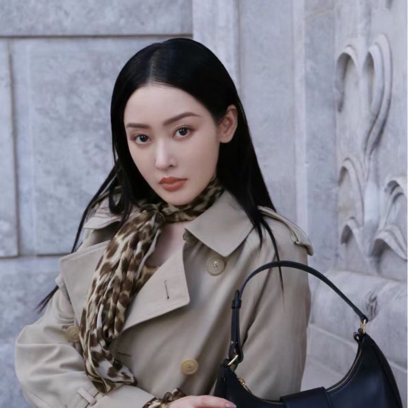 Celine Ava Tromphe 單肩包-3