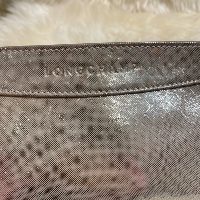 Longchamp Pouch-7