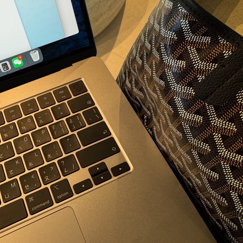 Saint Louis PM Bag-1