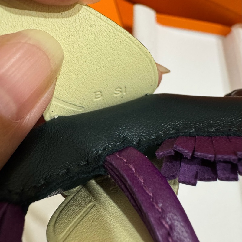 Hermes Rodeo PM 小飛馬 🐎 柏青綠/米爾頓黃/紫 💛 招財配色-5