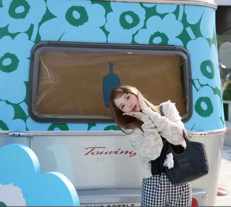 Miu Miu Ivy 皮革手提袋 小號-4