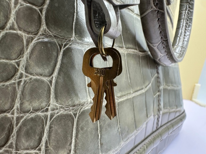 Louis Vuitton 全鱷魚皮 Lockit-16