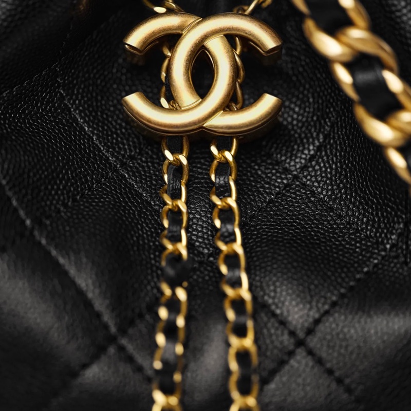 Chanel 25 hobo small-1