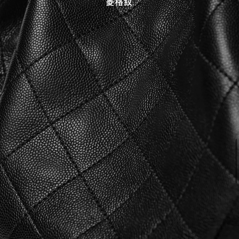 Chanel 25 hobo small-4