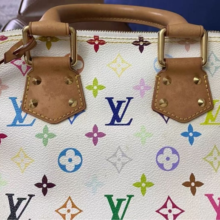 Louis Vuitton 村上隆 白三彩 貝殼包 配件塵袋-5
