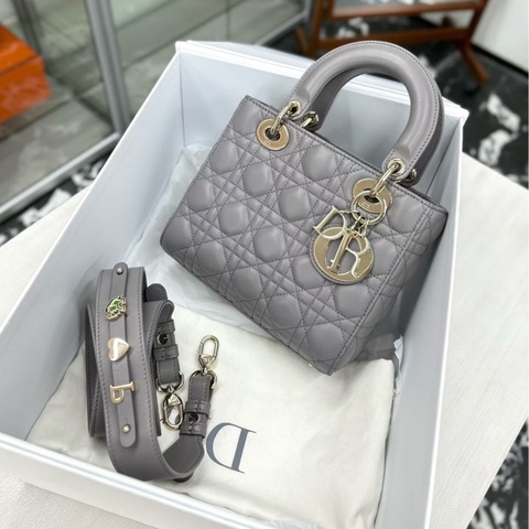 Dior 大象灰 四格 徽章肩帶 戴妃 20編碼 附件塵袋、盒。