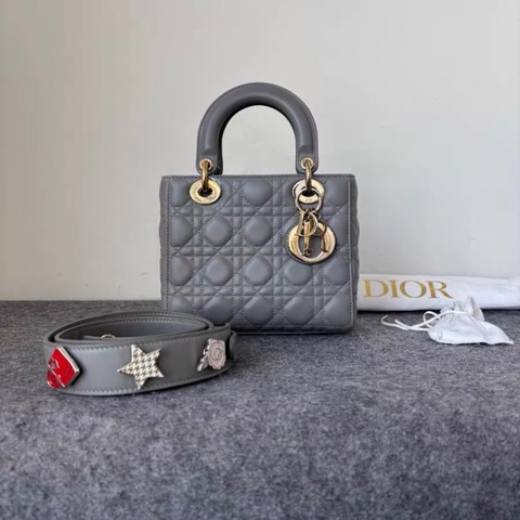 Dior 大象灰 四格 徽章肩帶 戴妃 附件塵袋