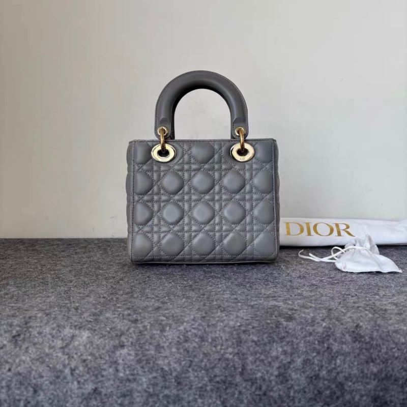 Dior 大象灰 四格 徽章肩帶 戴妃 附件塵袋-1