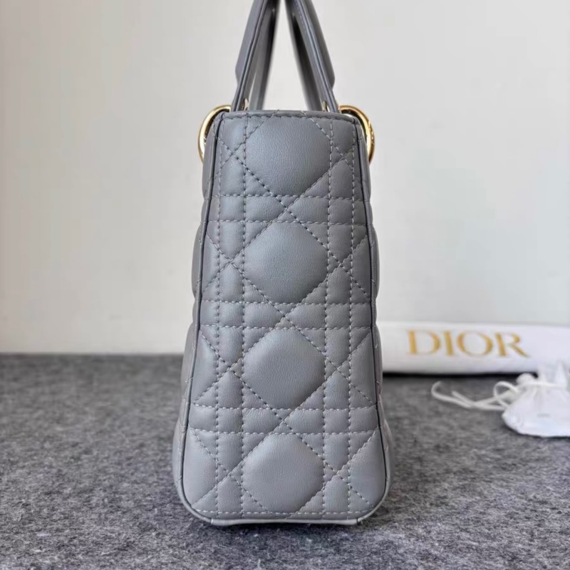 Dior 大象灰 四格 徽章肩帶 戴妃 附件塵袋-2