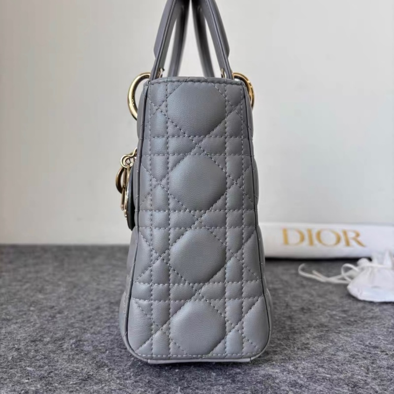 Dior 大象灰 四格 徽章肩帶 戴妃 附件塵袋-3