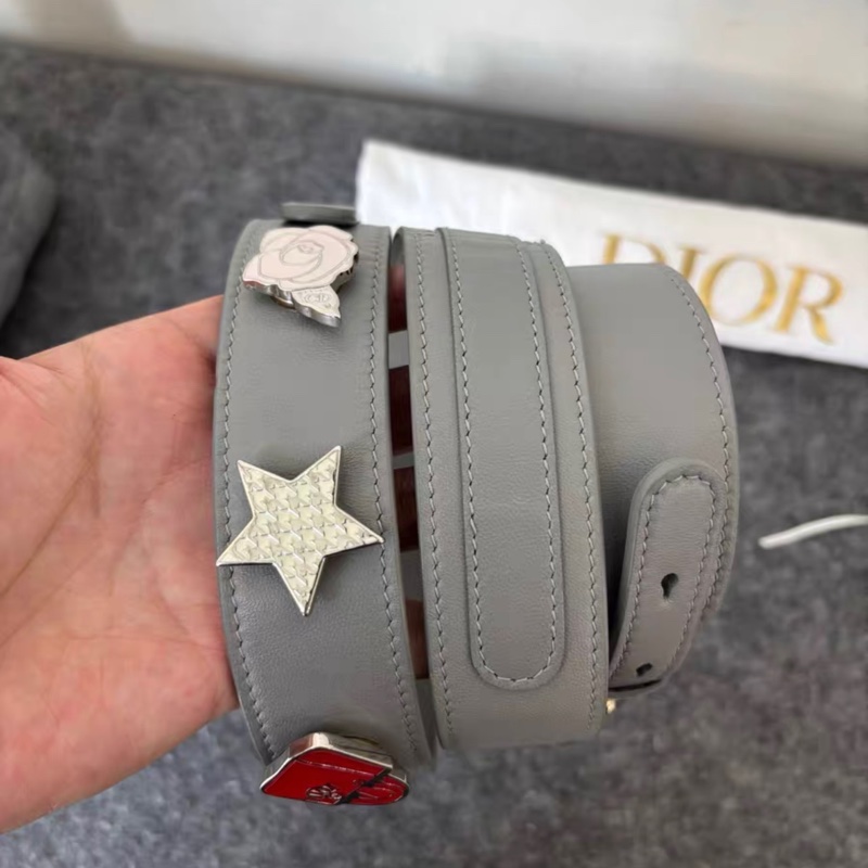 Dior 大象灰 四格 徽章肩帶 戴妃 附件塵袋-8