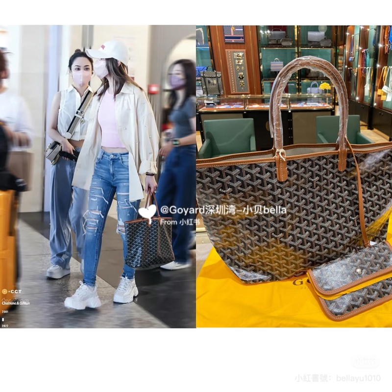 Goyard Artois 托特包 (閒置未使用)(大全配)-1