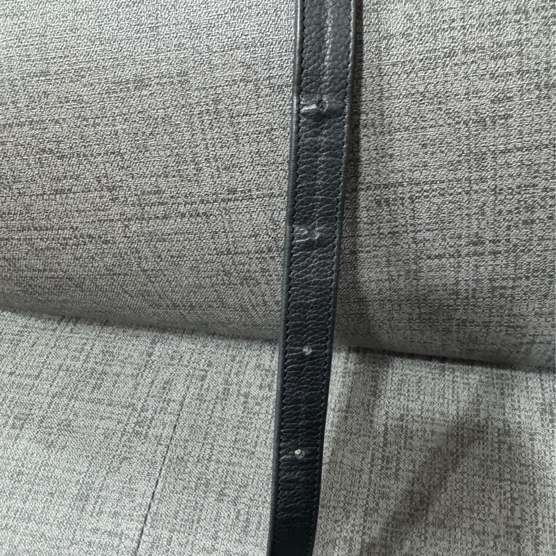 CHANEL菱格腰包/胸包-22