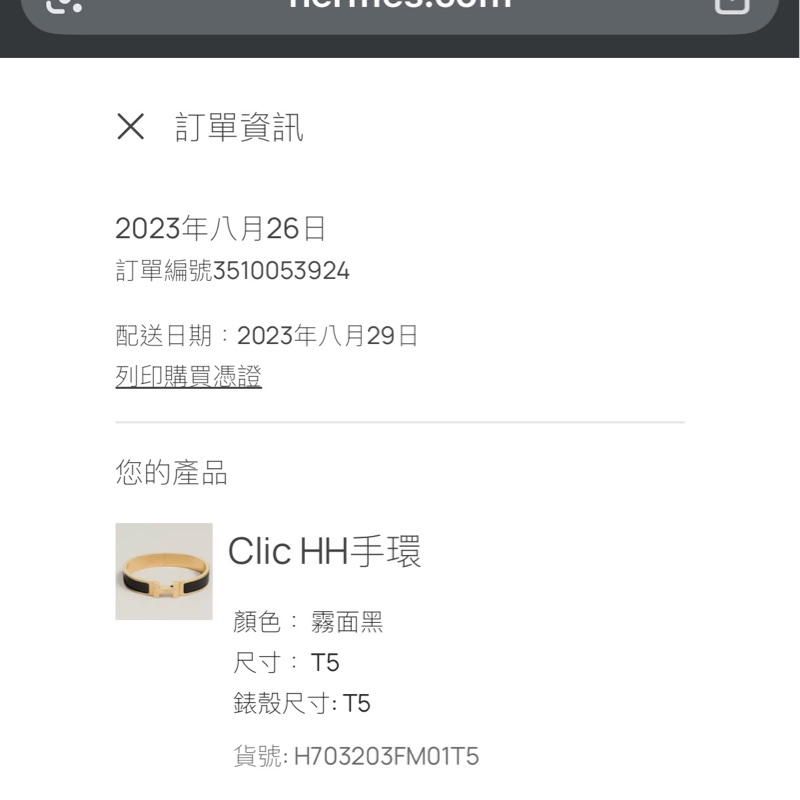 Hermes clic hh 手環 男  黑金色 官網購入-14