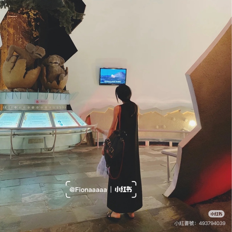 GUCCI PEINT 黑色 皮革 抽繩 後背包 雙肩包 手提包 側背包-13