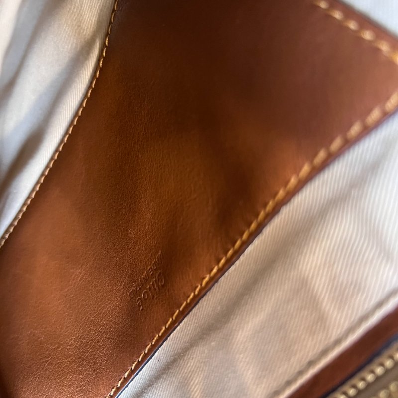 CHLOE 麂皮LEXA包-10