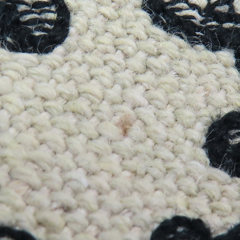 白/黑色帆布 AVA Hobo 肩背包【CELINE 賽琳】-17