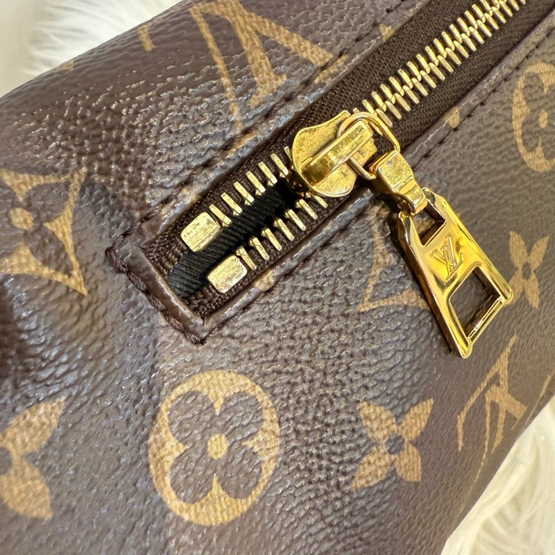 LV Bumbag 老花胸腰包-3