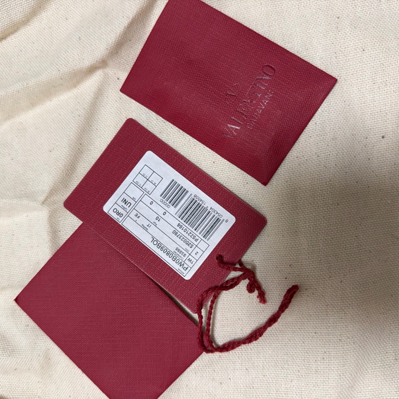 Valentino 相機包-15