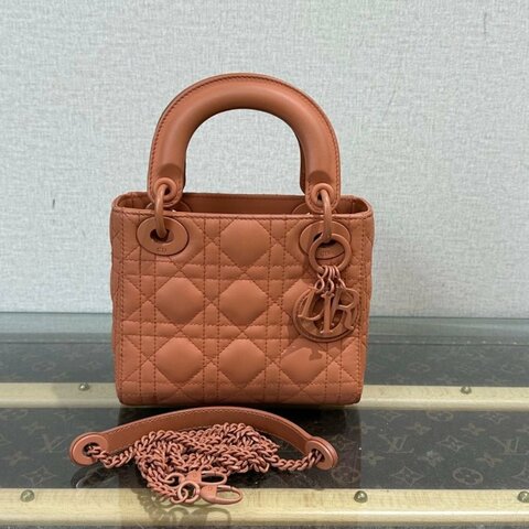 DIOR 磨砂三格黛妃手提肩背斜背包17*15*7 98新配件塵袋