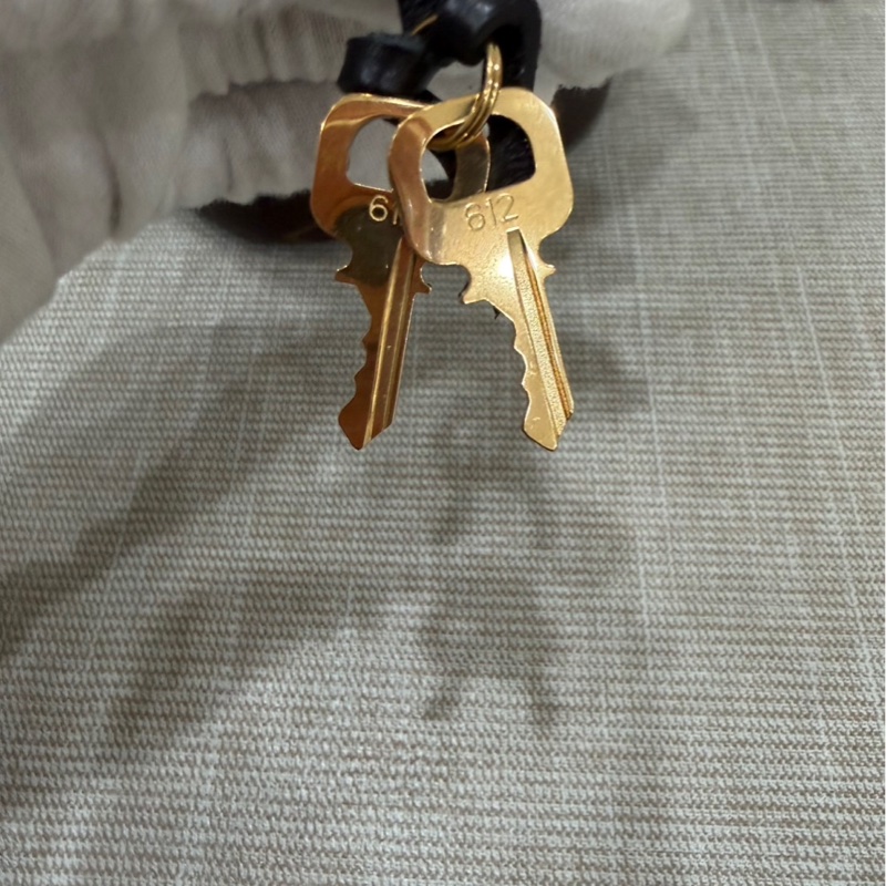 LV M45165 VANITY PM花紋LOG Monogram Reverse帆布拉鍊手提斜背化妝包-34