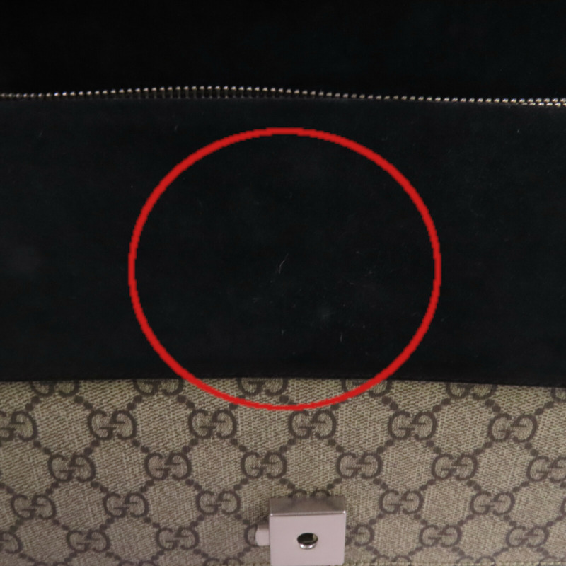 GUCCI 塗層帆布Dionysus銀扣鏈帶肩背袋-16