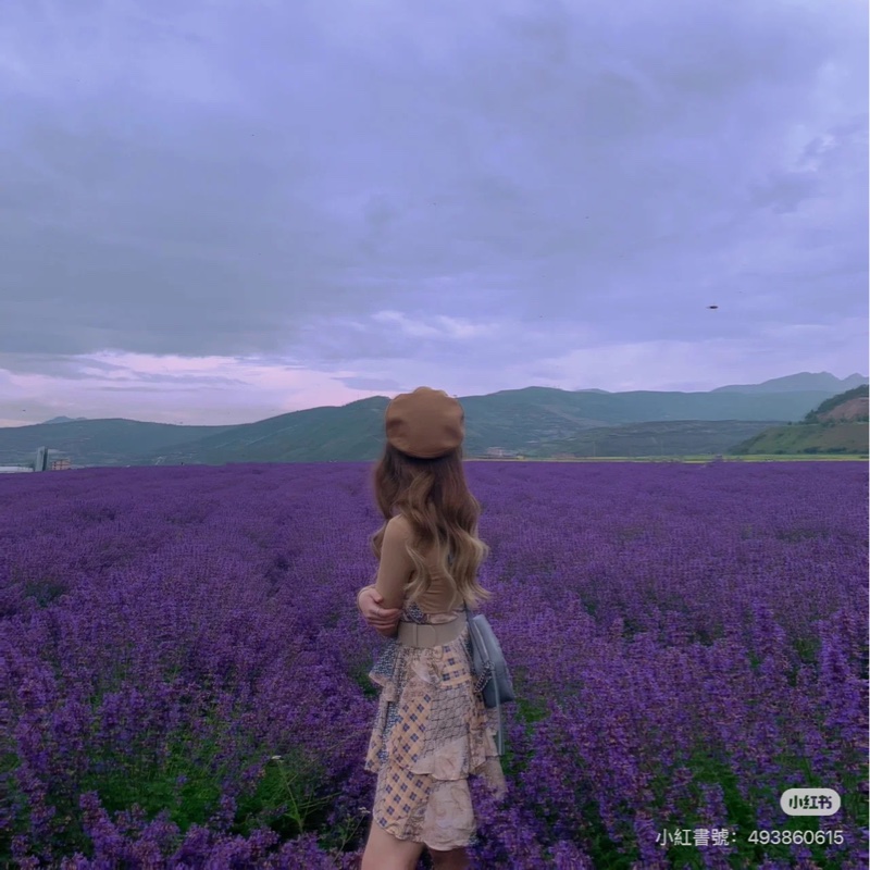 GUCCI GG Marmont 馬蒙 幾何 灰色 相機包 斜背包 肩背包 側背包 鍊條包-9