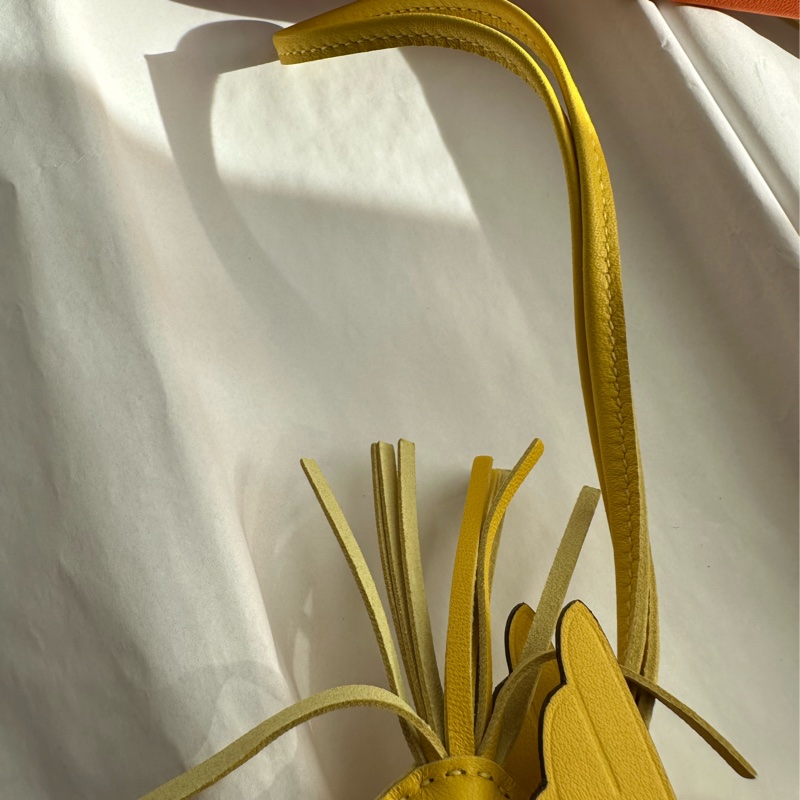 Hermes黃色小飛馬-3