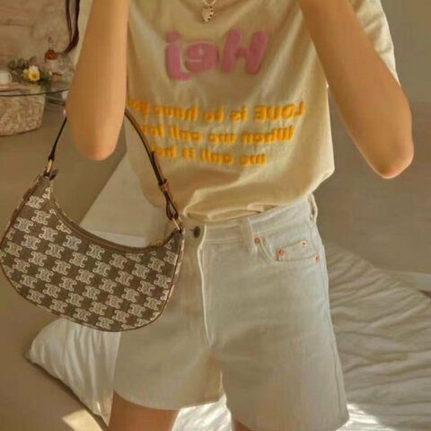 celine ava豆沙綠 老花月亮腋下包 23×13.5×6cm，99新 配件塵袋